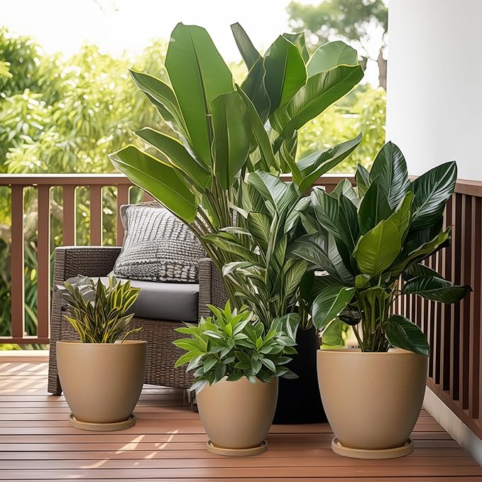 Ceramic Pots for Plants - Image 7