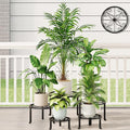 5 Pack Metal Plant Stand Heavy Duty Metal Plant Shelf by Unknown