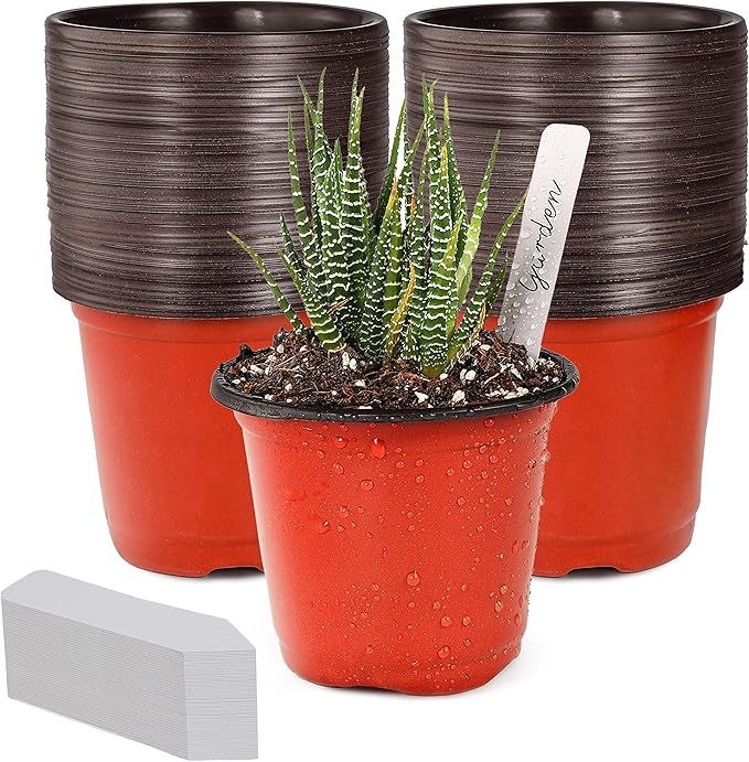 TDHDIKE 4" Small Plastic Plant Nursery Pot/Pots Seedlings Flower Plant by TDHDIKE