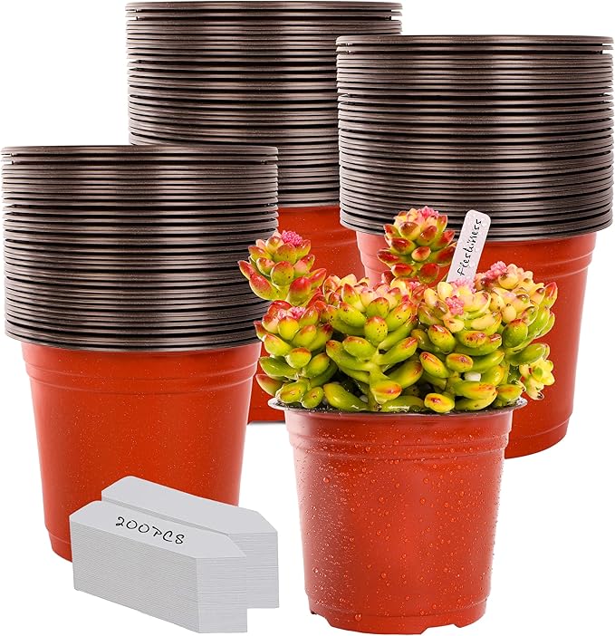 TDHDIKE 6 Inch Plastic Plant Nursery Pot/Pots by TDHDIKE