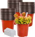 TDHDIKE 6 Inch Plastic Plant Nursery Pot/Pots by TDHDIKE