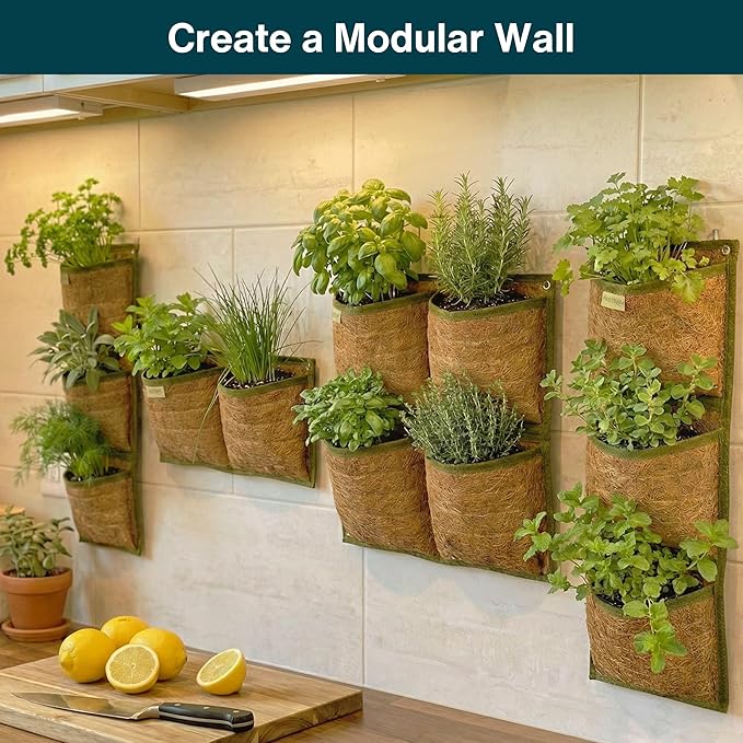 Wall Hanging Planter, 2 Pocket, Hanging herb Planter, wall Mounted Plant Holder - Image 9