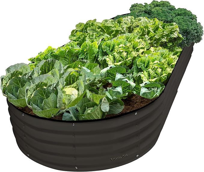 Plant & Plot Galvanized Raised Garden Beds Outdoor // 8×4×1 ft Planter Raised by PlantPlot