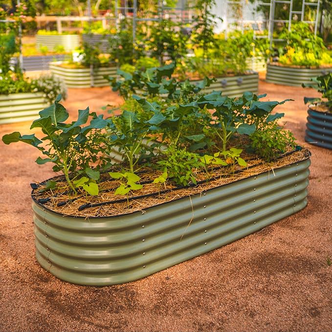 Vego garden Raised Garden Bed Kits - Image 9