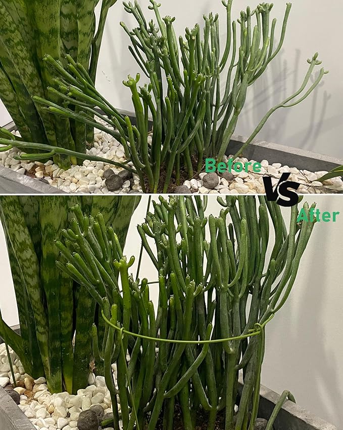 5 Pack Plant Support Stakes, Adjustable Plant Ring Cages - Image 6