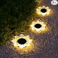 Roaming Acrylic Petal Bury Light 3-Pack Suitable by RoamingLight