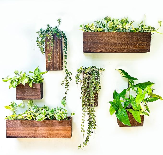 LaLaGreen Wood Planter Box for Plants Wooden Hanging Wall Planters for Indoor by L%C3%A1L%C3%A1Green