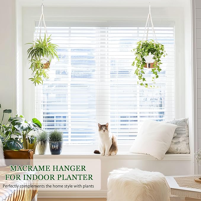 10 Inch Hanging Planters for Indoor Plants, 2 Pack Self Watering Hanging - Image 4