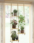 Window Plant Shelves Macrame Plant Hanger Floating Shelves Window Sill Shelf by Gentingbro