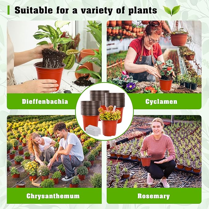 TDHDIKE 6 Inch Plastic Plant Nursery Pots Seedling Flower Plant Container Seed - Image 6