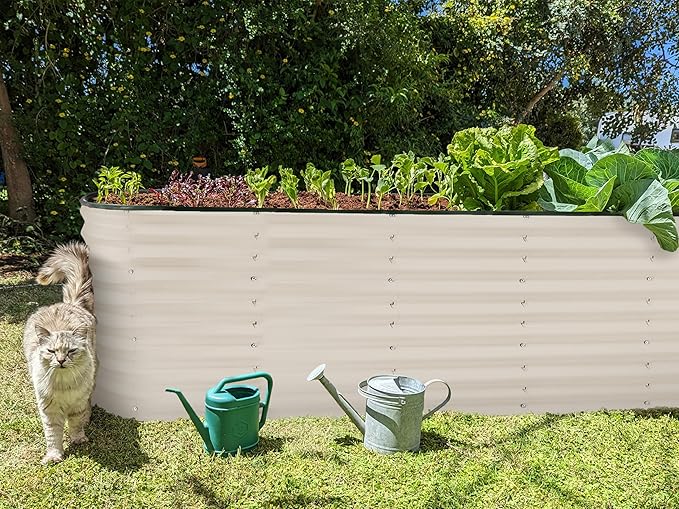 Plant & Plot Galvanized Raised Garden Beds Outdoor // 6×2×2 ft Planter Raised - Image 6