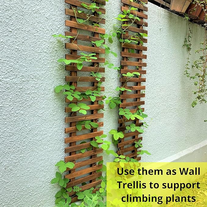 ShopLaLa Wall Planter – Hanging Planter - Image 9