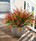 Ivydale 12Pcs Fake Plants Outdoor Artificial Plastic Grass Spring Decoration UV by Ivydale
