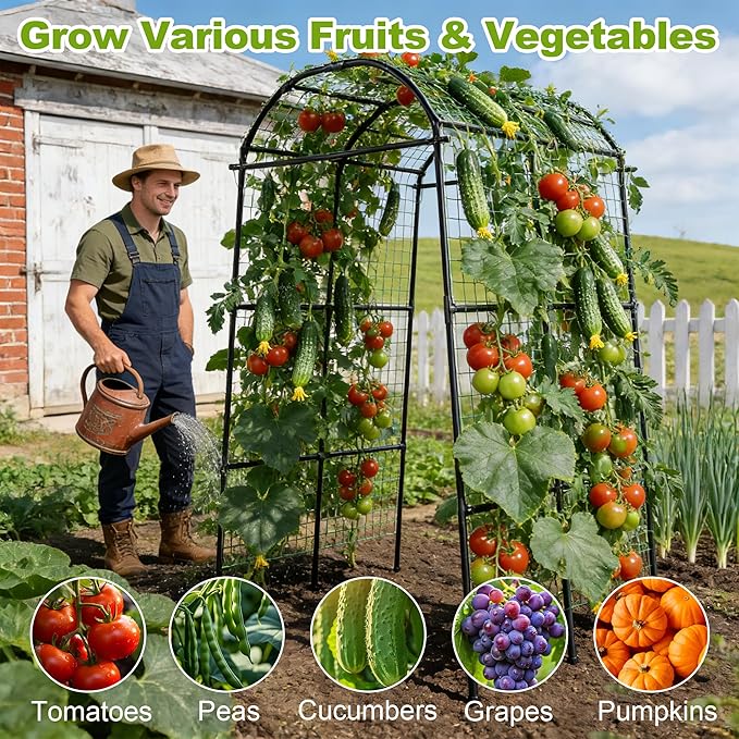 Miory Garden Arch Trellis for Climbing Plants Outdoor, Metal Plants Support - Image 8