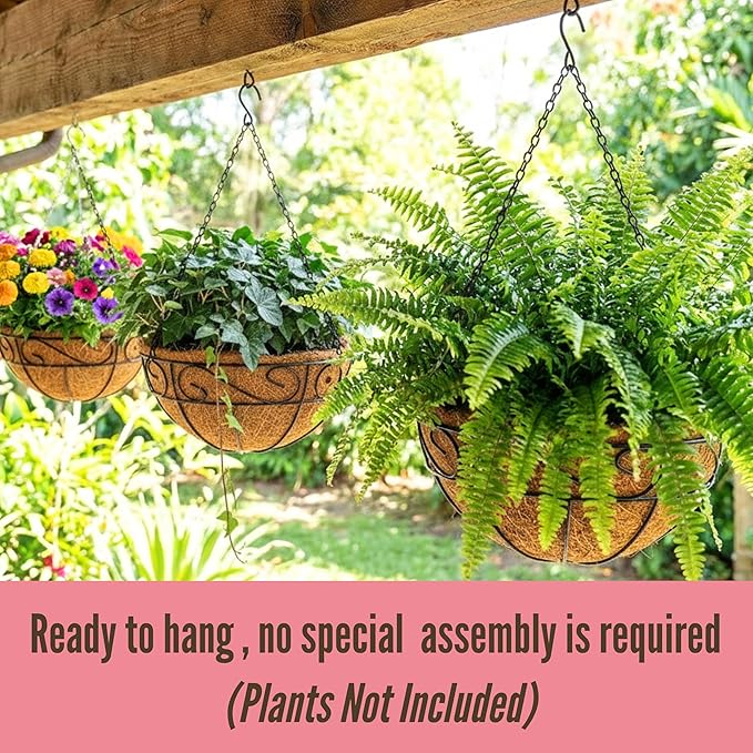 LaLaGreen Hanging Planter For Outdoor Extra Large Black Metal Wire Hanging - Image 4