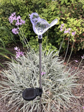Solar Garden Stake Lights with Color Changing LED or Regular White LED by Ntertainment+House