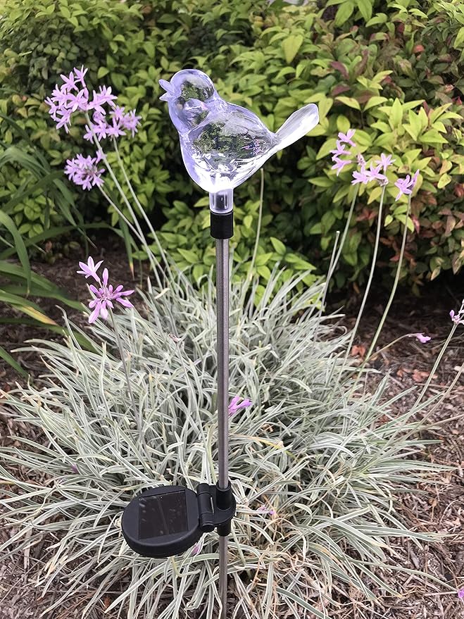 Solar Garden Stake Lights with Color Changing LED or Regular White LED by Ntertainment+House