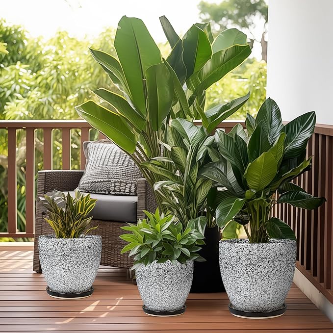 Ceraimc Plant Pot - Image 5