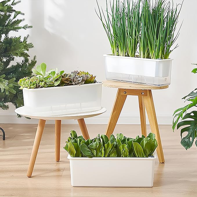 FAMZ Self Watering Pots for Indoor Plants 3 Pack Transparent Rectangular - Image 4