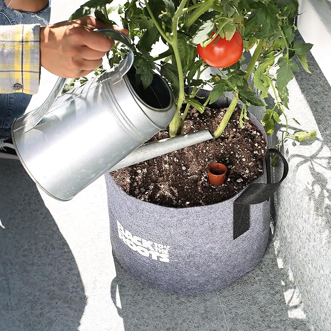 Back to the Roots Self-Watering Terracotta Olla Pot, 700mL Provides 1 Week of - Image 8