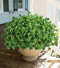 Artificial Fake Outdoor Plants for Spring Summer Decoration, 12 Bundles Fake by Ivydale