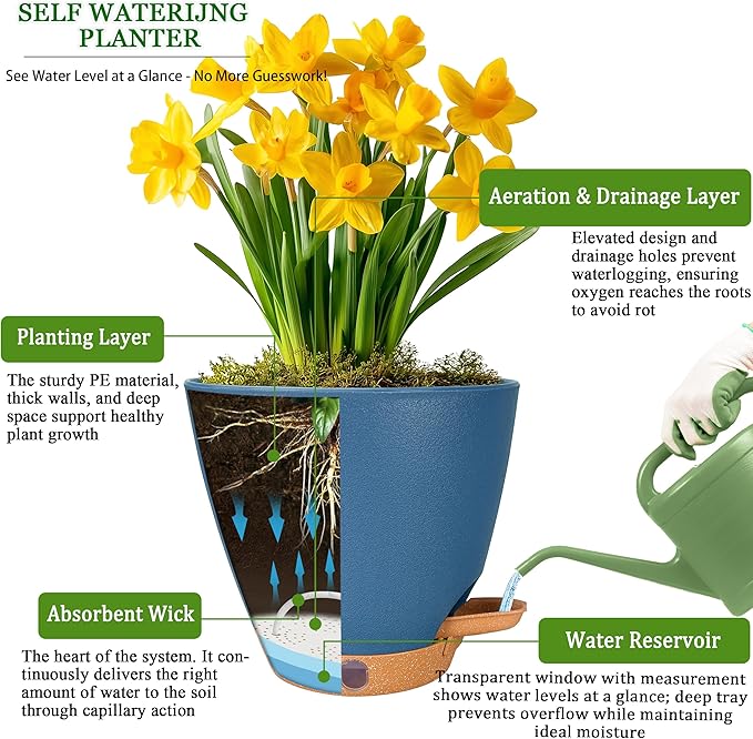 6 Inch Self Watering Pots for Indoor Plants – Small Plastic Planters - Image 5