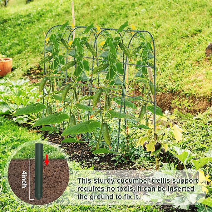 Cucumber Trellis for Raised Bed, U-Shape Garden Trellis for Climbing Plants - Image 5
