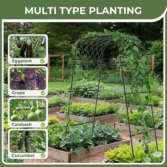 Garden Arch Plant Trellis for Climbing Plants Outdoor, Cucumber Trellis for - Image 4