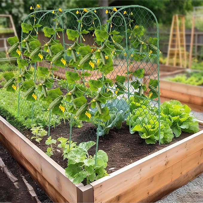 Cucumber Trellis, Foldable Trellis Cucumber - Image 6