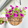 LaLaGreen Hanging Planter For Outdoor Extra Large Black Metal Wire Hanging by L%C3%A1L%C3%A1Green