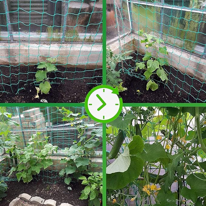 Trellis Netting for Climbing Plants - Image 4