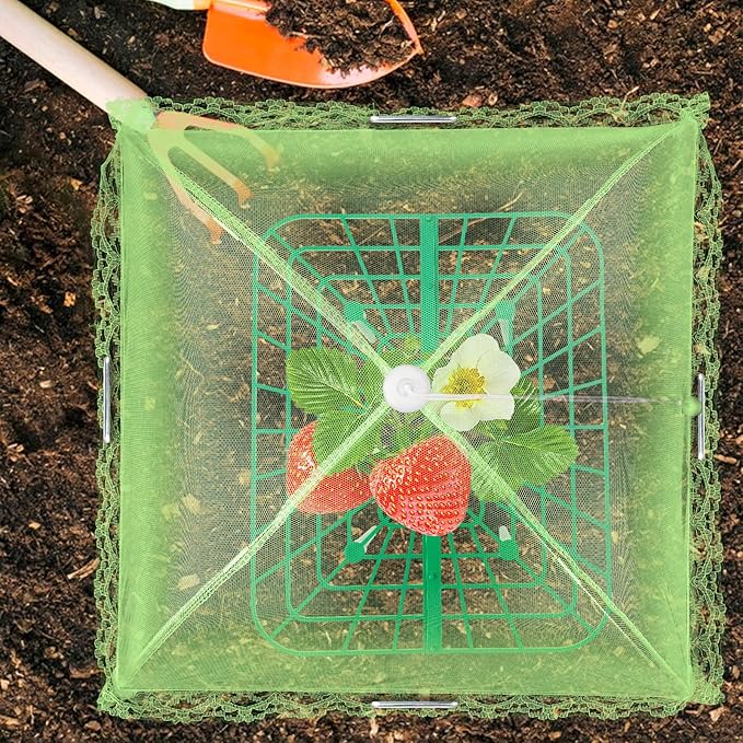 6 Sets Strawberry Plant Support - Image 5