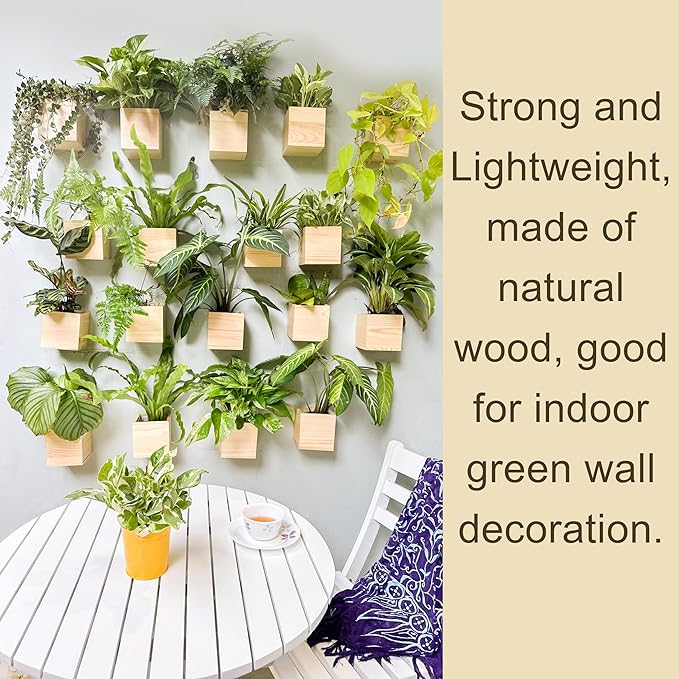 LaLaGreen Wooden Planter Box for Plants Small Square Wall Planters for Indoor - Image 5