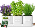 volila Herb Planter Indoor by volila