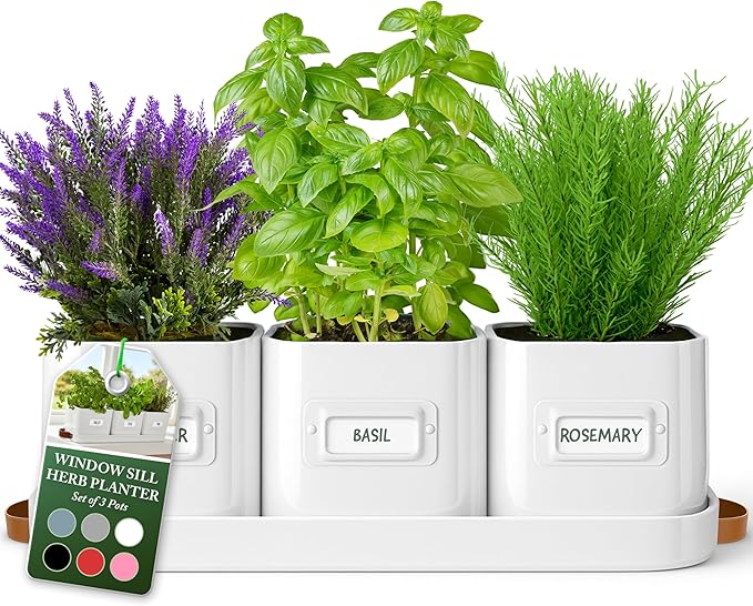 volila Herb Planter Indoor by volila