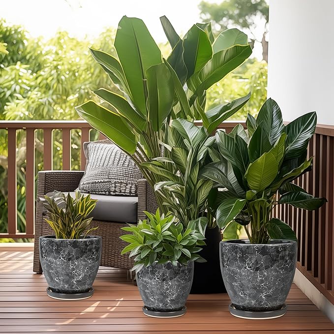 Ceramic Pots for Plants - Image 7
