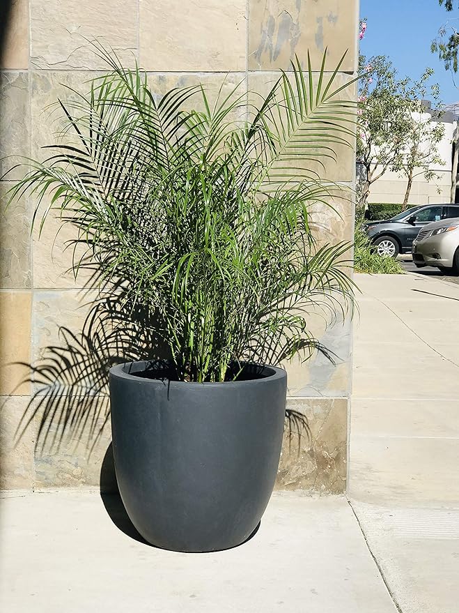Kante 18 Inch Dia Round Concrete Planter, Indoor Outdoor Large Plant Pot - Image 11