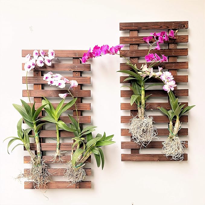 ShopLaLa Wall Planter - Image 7