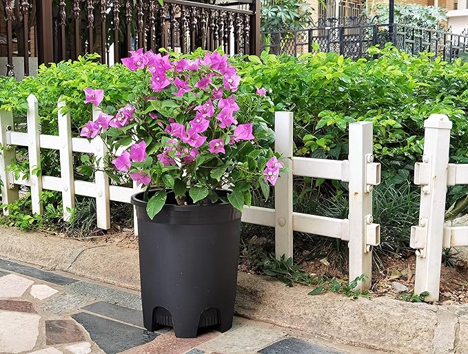 5 Gallon 10-Pack Nursery Pot Black Plastic Planters - Image 7
