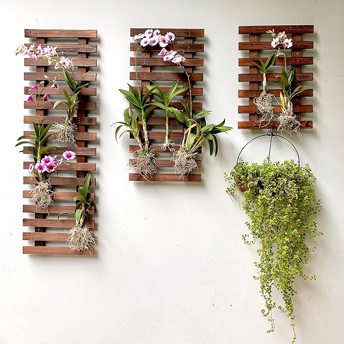 ShopLaLa Wall Planter – 3 Pack Wooden Hanging Planter - Image 7