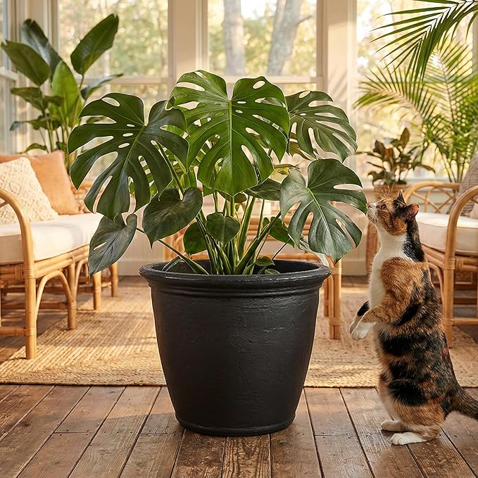 Sunnydaze 20-Inch Anjelica Large Plastic Pot - Image 8
