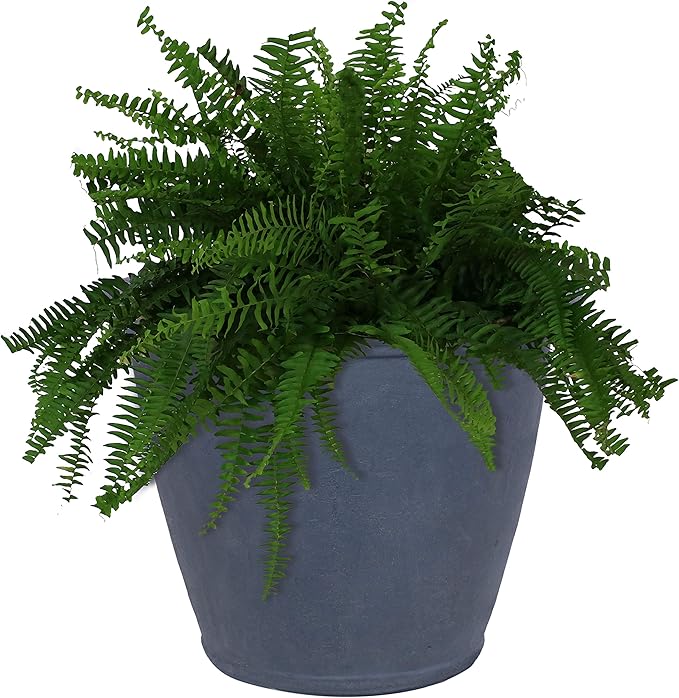 Sunnydaze 24-Inch Anjelica Large Plastic Pot by SunnydazeDecor
