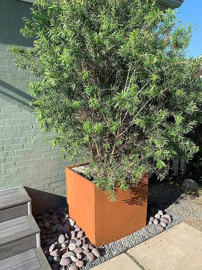 Corten Steel Planter Box Metal Square Planters 26 Inch Steel Large Outdoor - Image 5