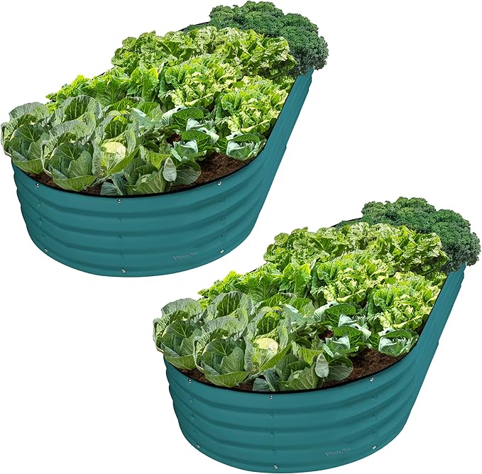 Plant & Plot Galvanized Raised Garden Beds Outdoor // 8×4×1 ft Planter Raised by PlantPlot