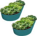 Plant & Plot Galvanized Raised Garden Beds Outdoor // 8×4×1 ft Planter Raised by PlantPlot