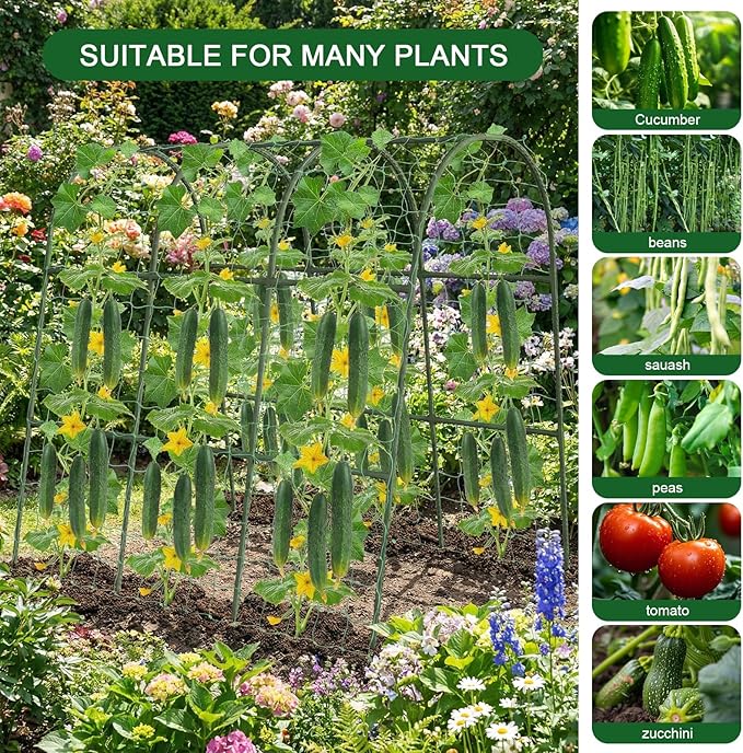 U-Shape Cucumber Trellis for Raised Bed - Image 7