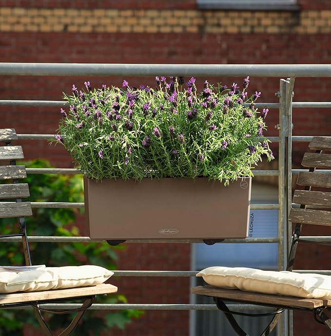 Lechuza BALCONERA Color 50 Nutmeg, Self-Watering Window Box, H7.5 L19.7 W7.5 in - Image 6