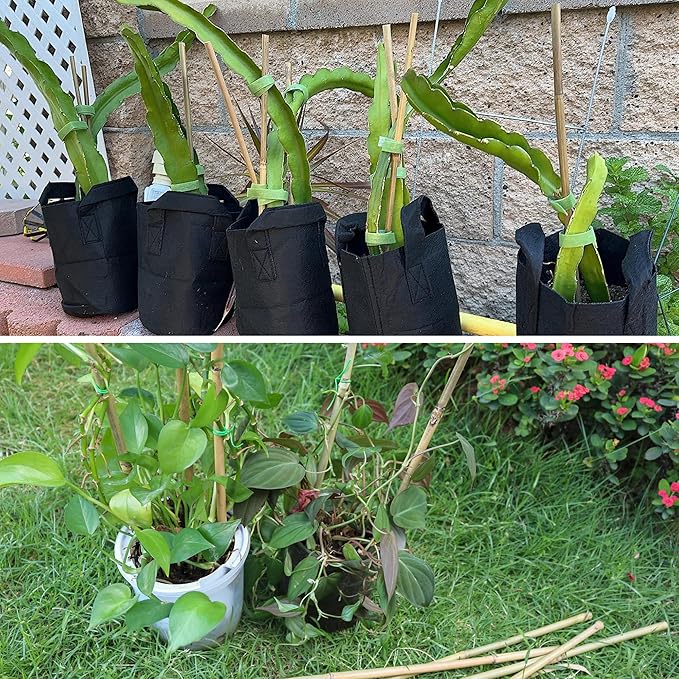 50Pcs / 2ft Bamboo Plant Stakes - Image 6