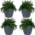 Sunnydaze 24-Inch Anjelica Large Plastic Pot by SunnydazeDecor