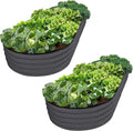 Plant & Plot Galvanized Raised Garden Beds Outdoor // 8×4×1 ft Planter Raised by PlantPlot